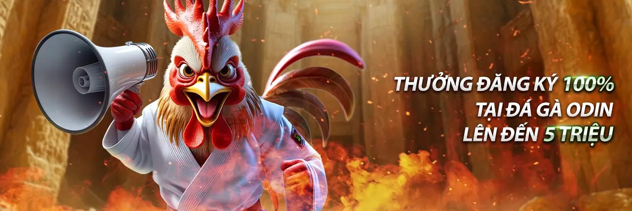 Hình ảnh đại diện cho đá gà philippin trực tiếp, một trận đấu gà sôi động với khán giả và trọng tài.