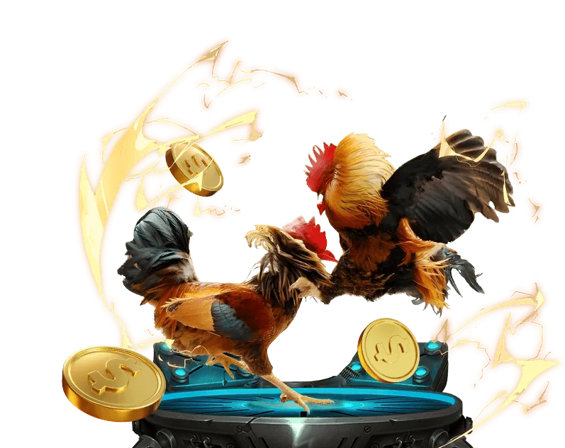 Hình ảnh toàn cảnh một trường gà tại Philippines với các trận đấu đá gà trực tiếp đang diễn ra.